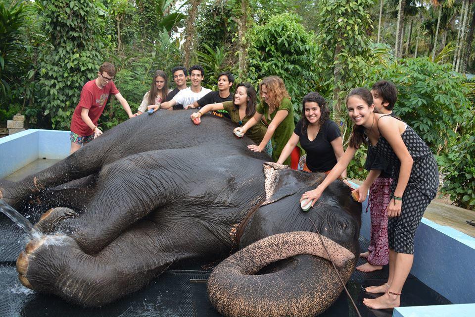 Green Leaf Home Stay Thekkady Buitenkant foto