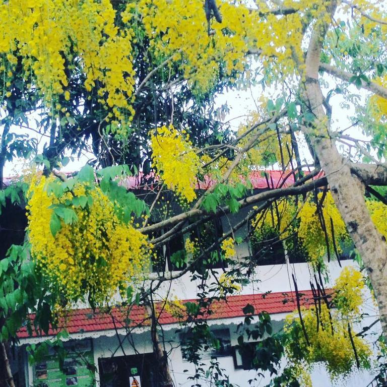 Green Leaf Home Stay Thekkady Buitenkant foto