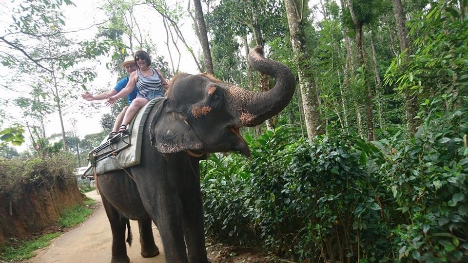 Green Leaf Home Stay Thekkady Buitenkant foto