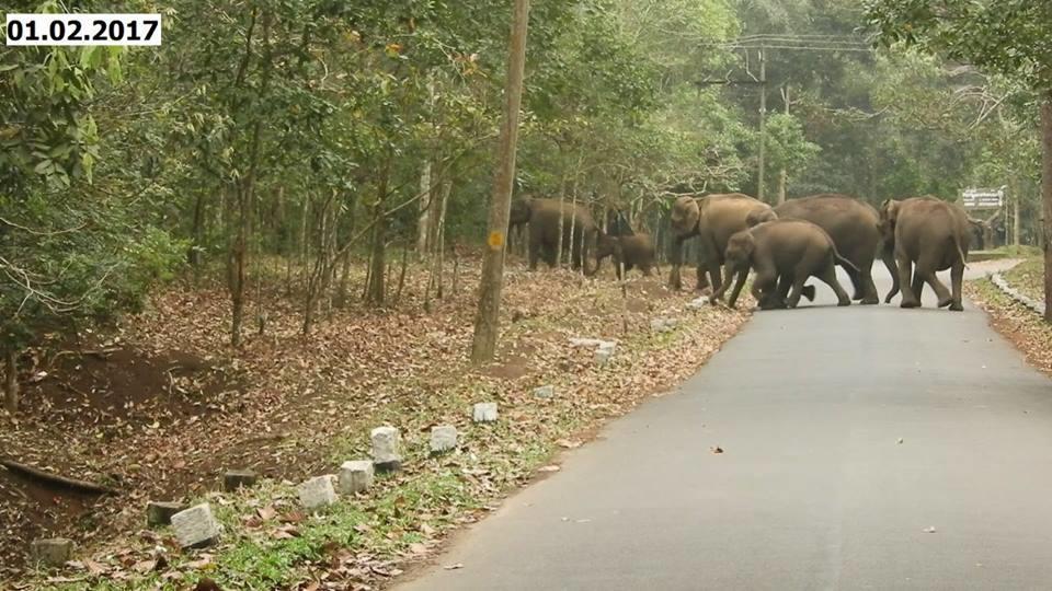Green Leaf Home Stay Thekkady Buitenkant foto